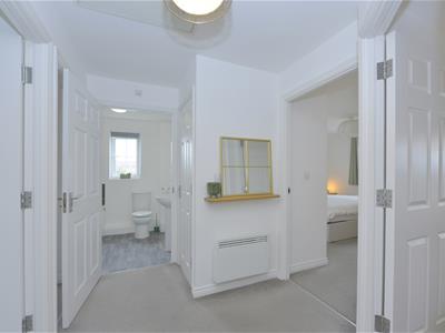 Picture 7